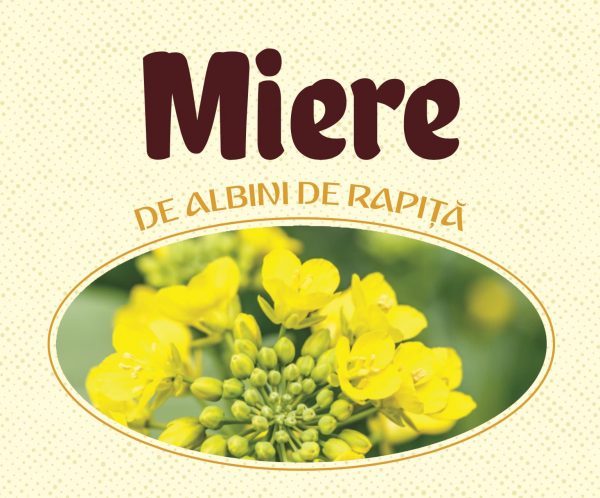 Rapeseed honey
